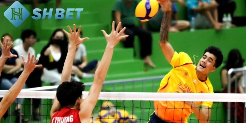 Bí quyết cá cược bóng chuyền thuận lợi tại SHBET